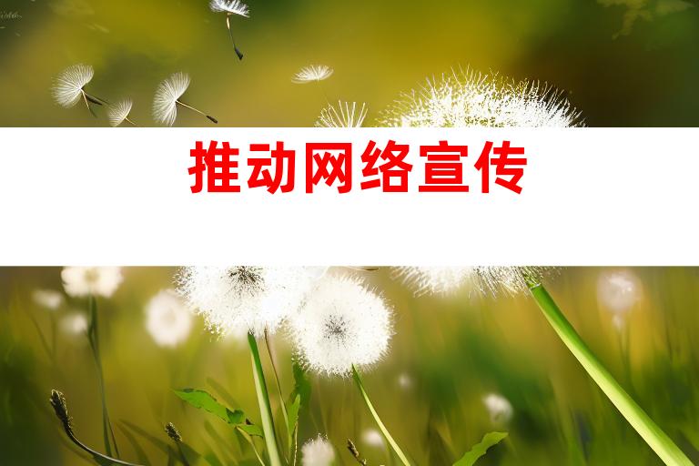 推动网络宣传