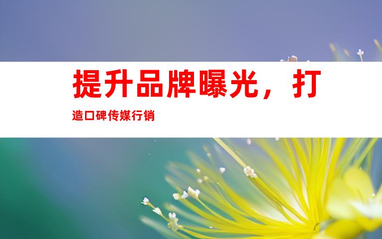 提升品牌曝光，打造口碑传媒行销