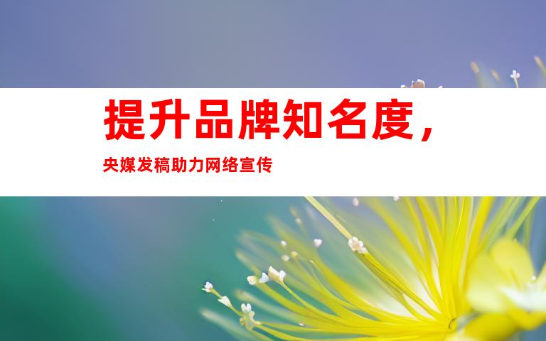 提升品牌知名度，央媒发稿助力网络宣传