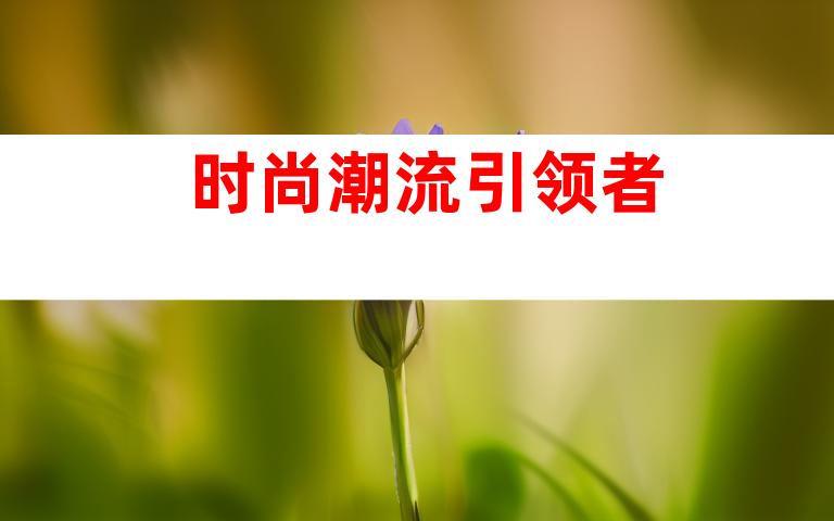 时尚潮流引领者