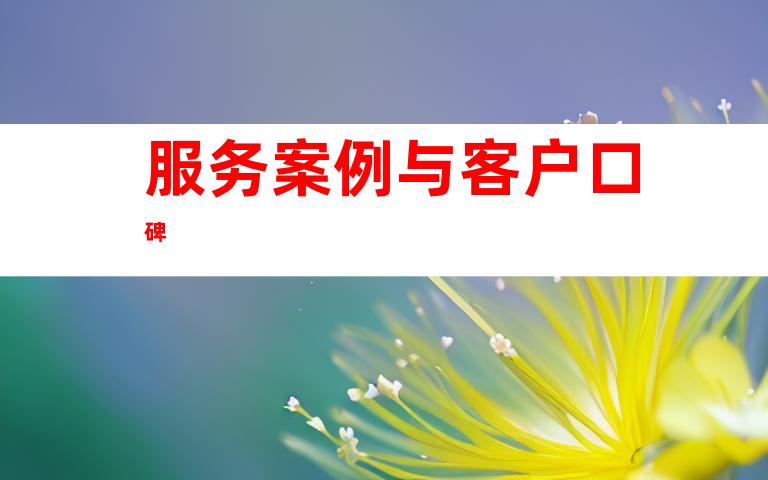 服务案例与客户口碑