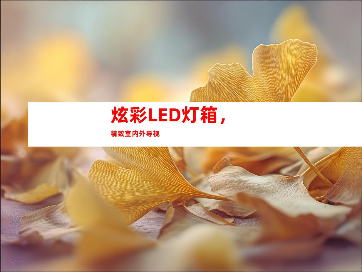 炫彩LED灯箱，精致室内外导视