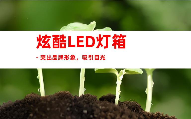 炫酷LED灯箱 - 突出品牌形象，吸引目光