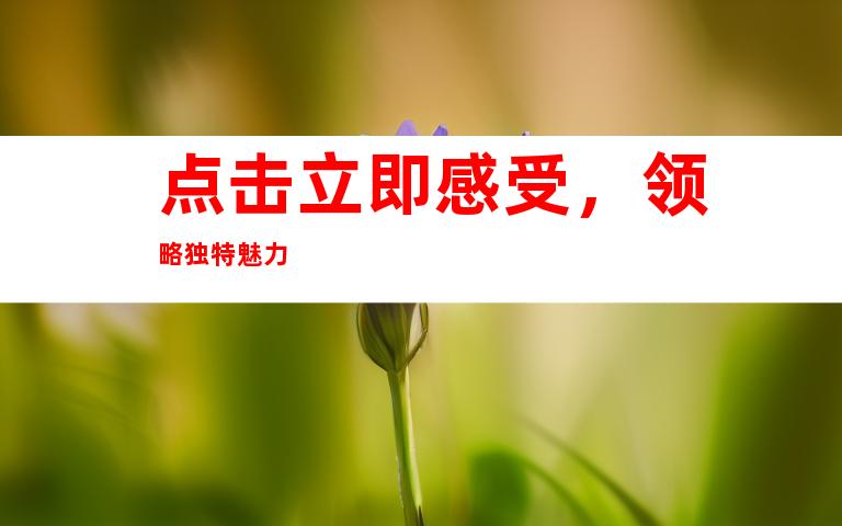 点击立即感受，领略独特魅力