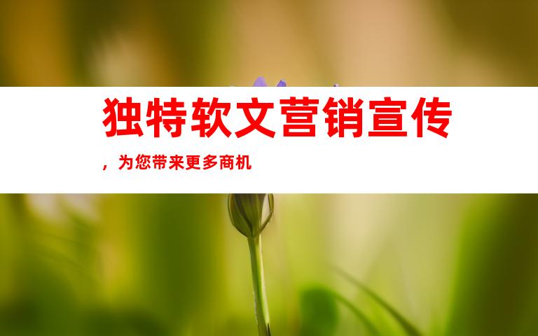 独特软文营销宣传，为您带来更多商机