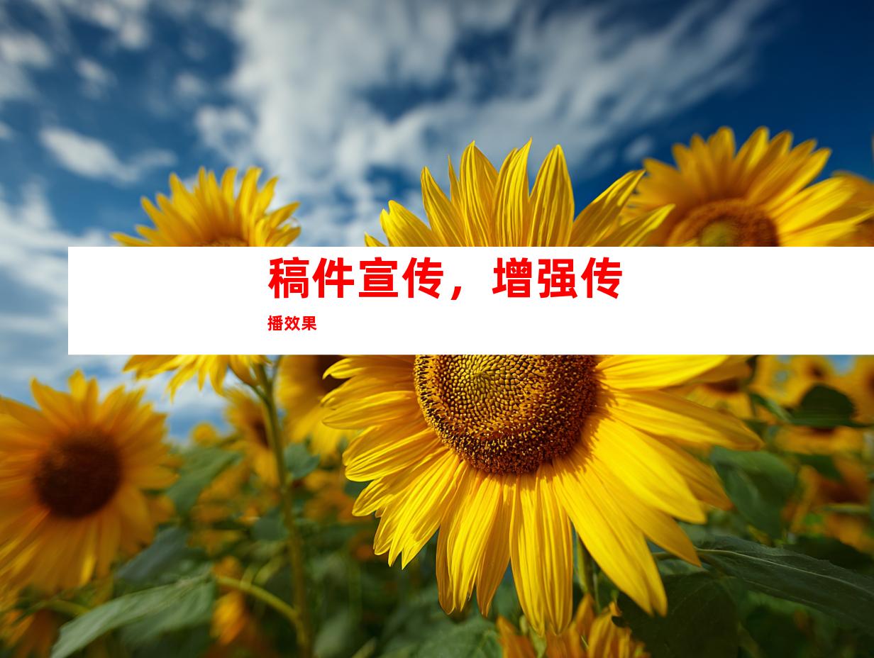 稿件宣传，增强传播效果