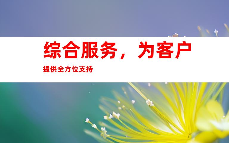 综合服务，为客户提供全方位支持