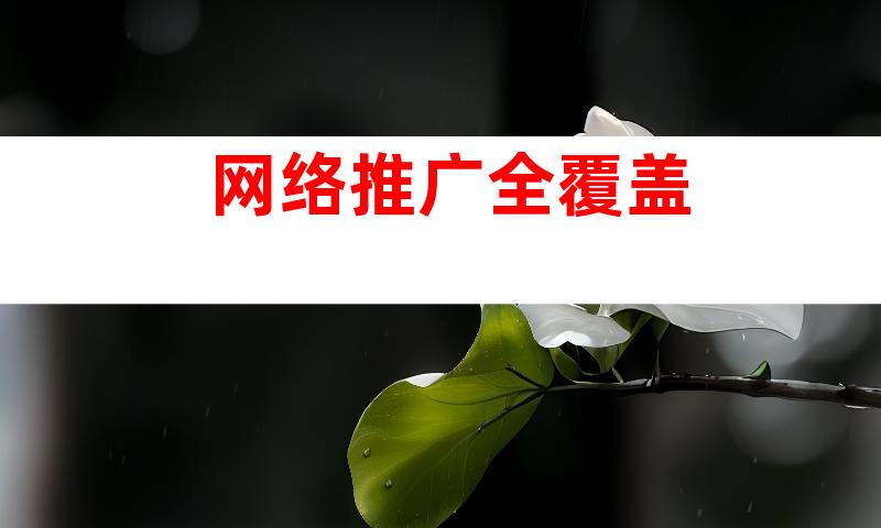 网络推广全覆盖