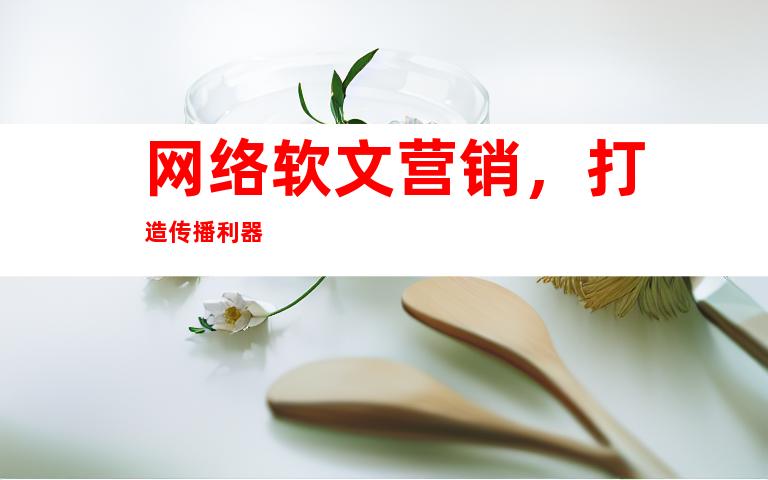 网络软文营销，打造传播利器