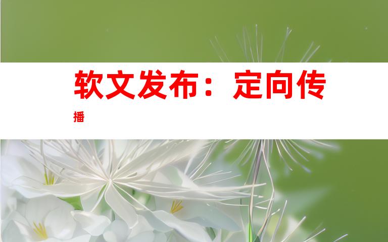 软文发布：定向传播