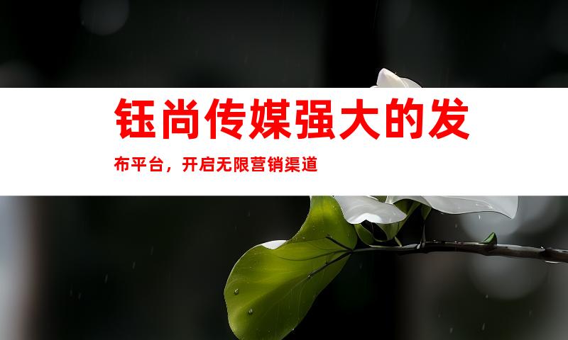 钰尚传媒强大的发布平台，开启无限营销渠道