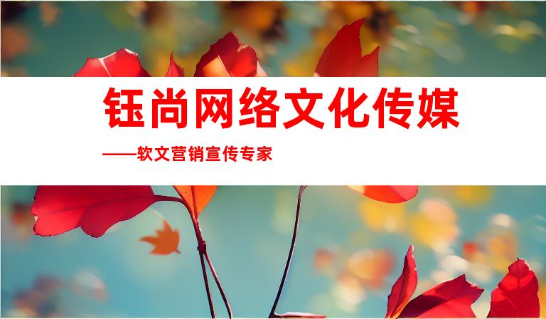 钰尚网络文化传媒——软文营销宣传专家