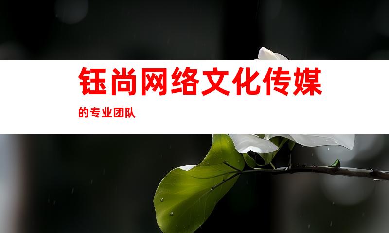 钰尚网络文化传媒的专业团队