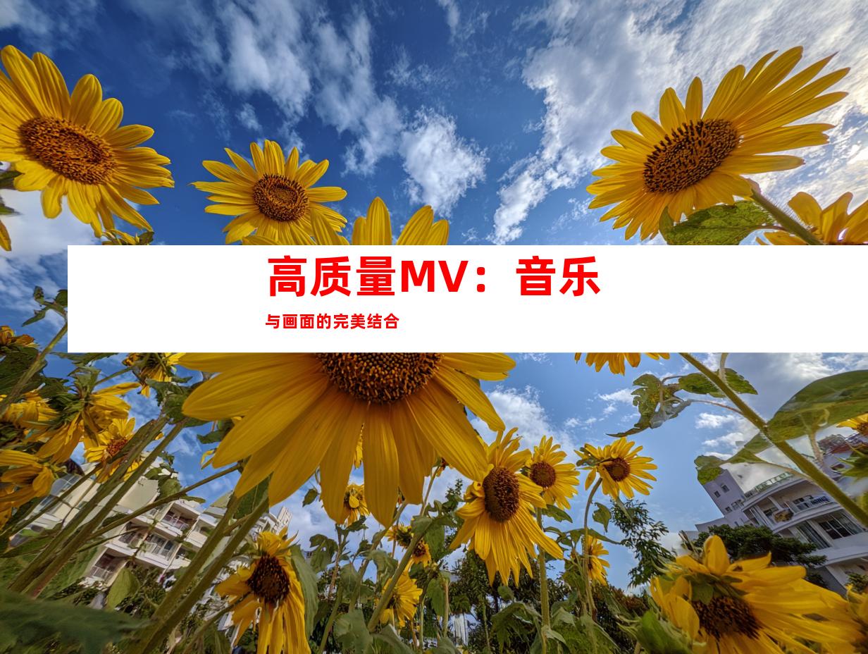 高质量MV：音乐与画面的完美结合