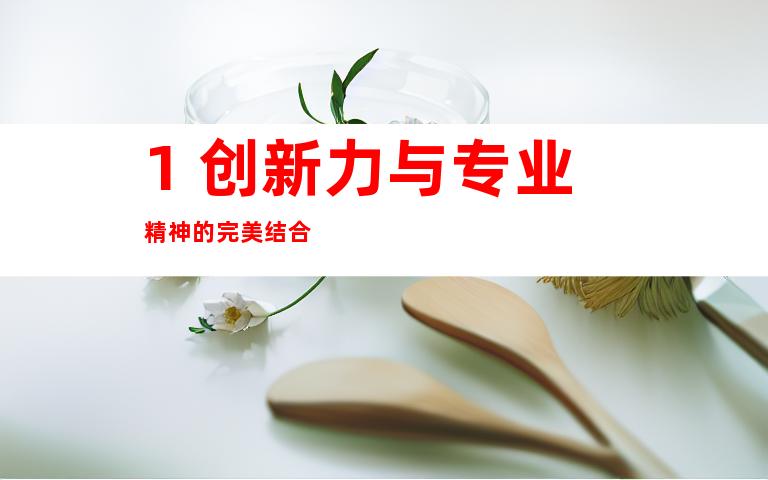 1. 创新力与专业精神的完美结合