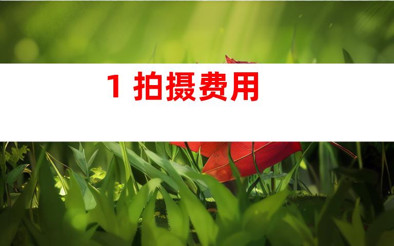 1. 拍摄费用