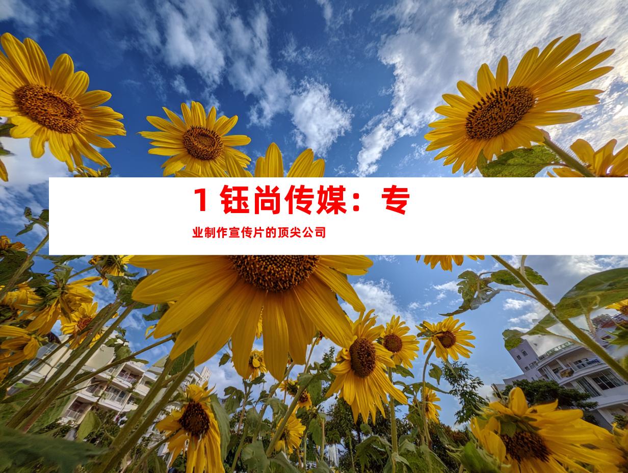 1. 钰尚传媒：专业制作宣传片的顶尖公司