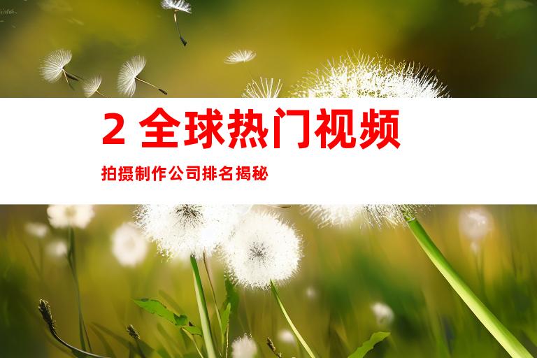 2. 全球热门视频拍摄制作公司排名揭秘