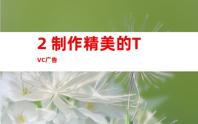 2. 制作精美的TVC广告