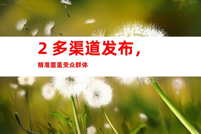 2. 多渠道发布，精准覆盖受众群体