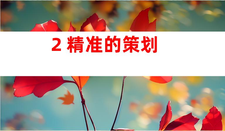 2. 精准的策划