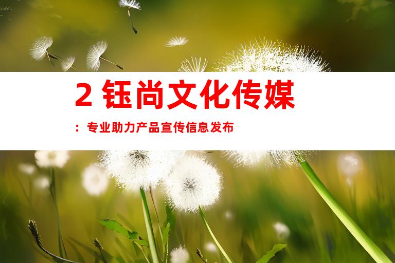 2. 钰尚文化传媒：专业助力产品宣传信息发布