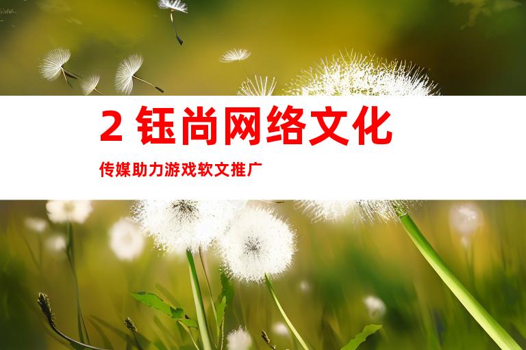 2. 钰尚网络文化传媒助力游戏软文推广