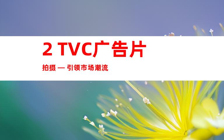 2. TVC广告片拍摄 — 引领市场潮流