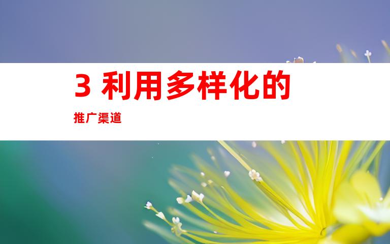 3. 利用多样化的推广渠道