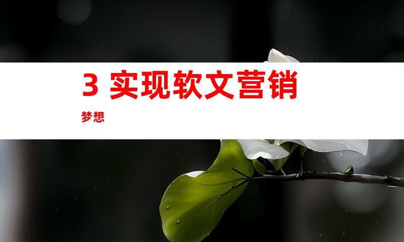 3. 实现软文营销梦想