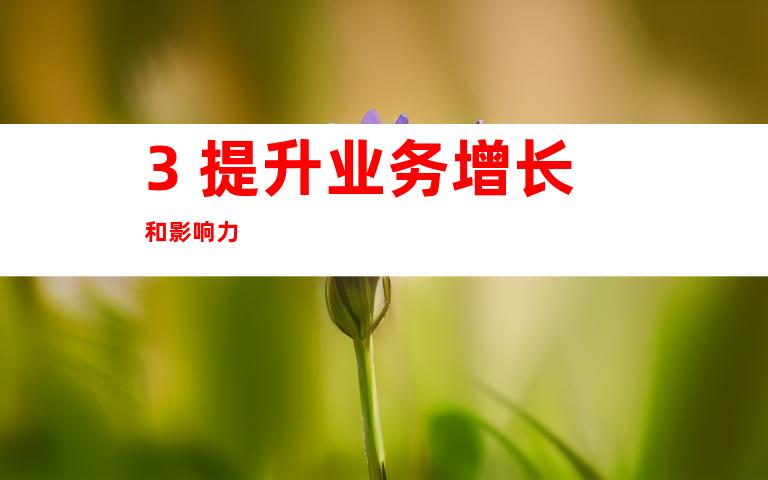 3. 提升业务增长和影响力