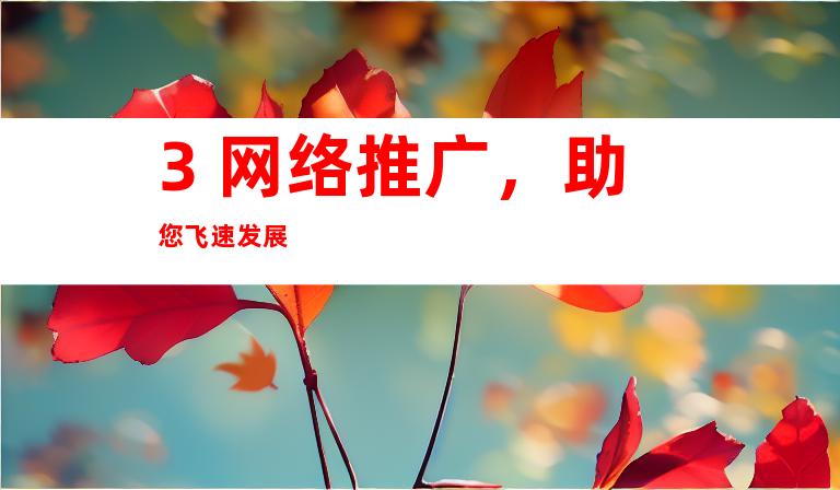 3. 网络推广，助您飞速发展